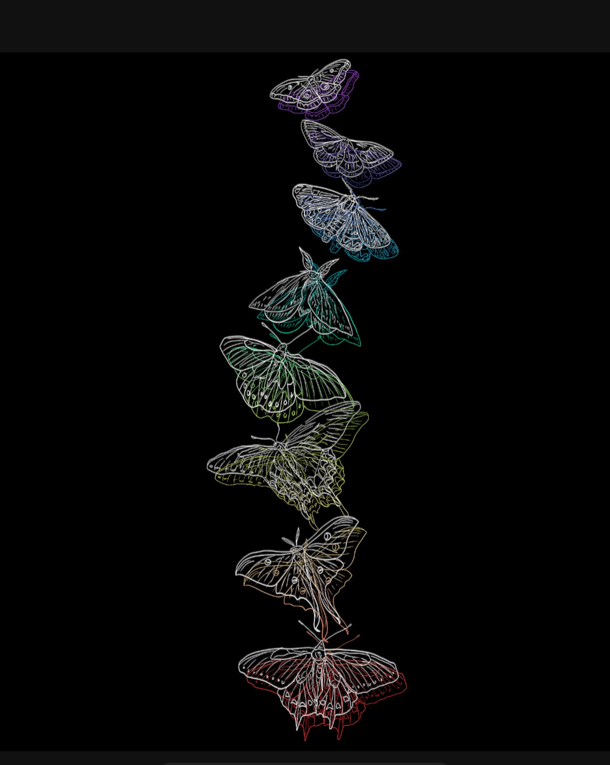 A vertical sequence of intricate moths and butterflies with coloured outlines on black